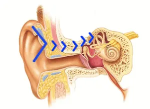 ecoute-par-osteophonie