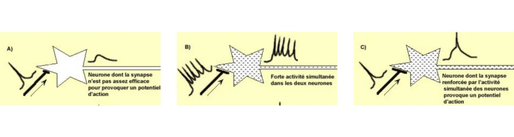 Hebb's rule in pictures