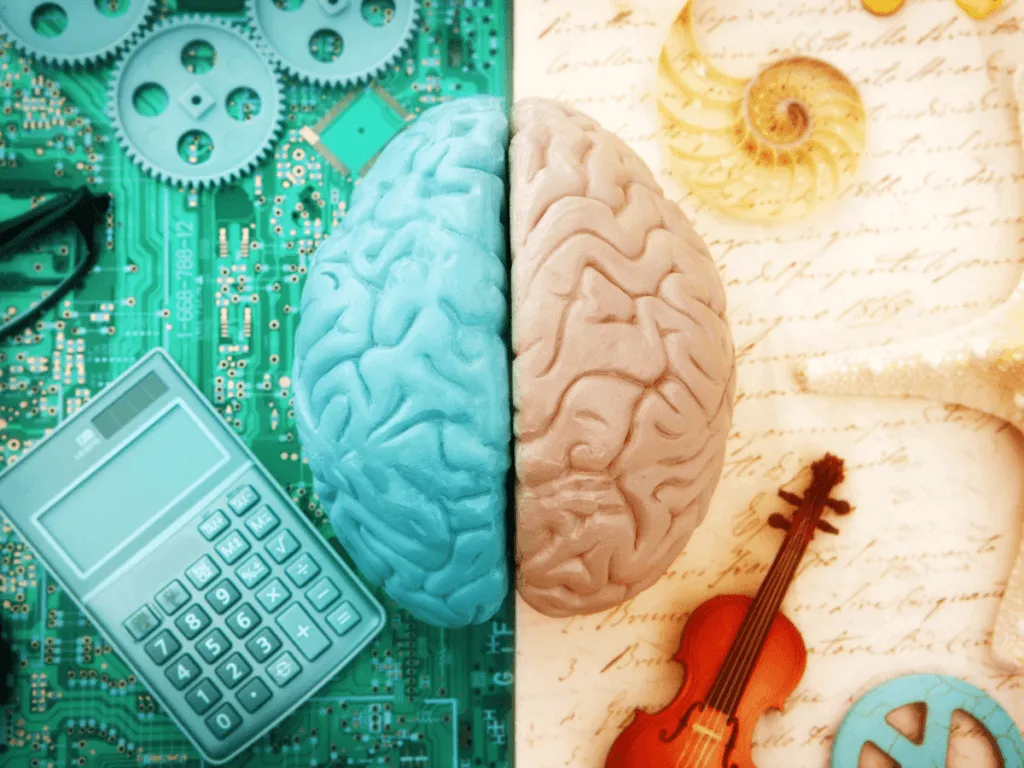 Left brain versus right brain