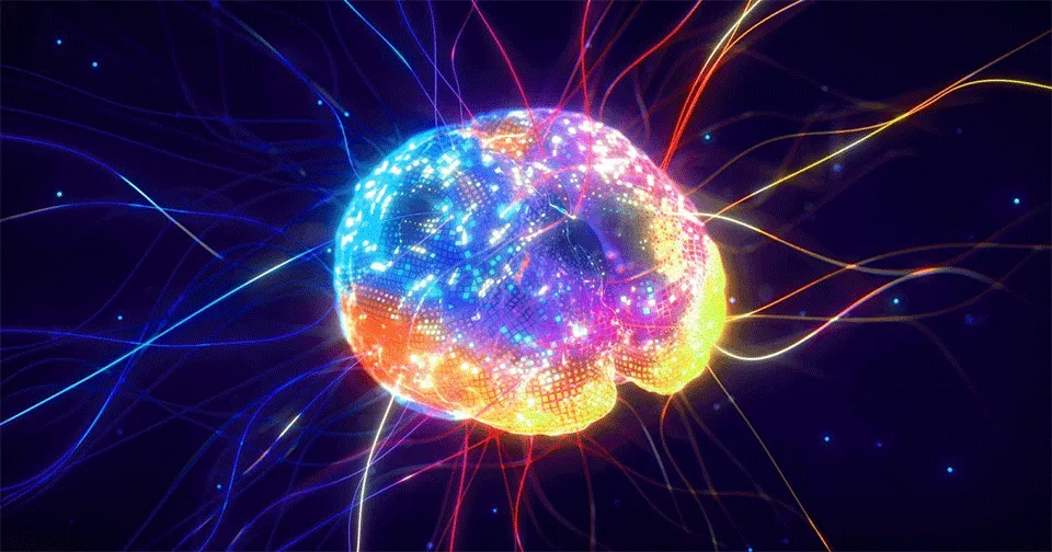 The brain can learn at any age