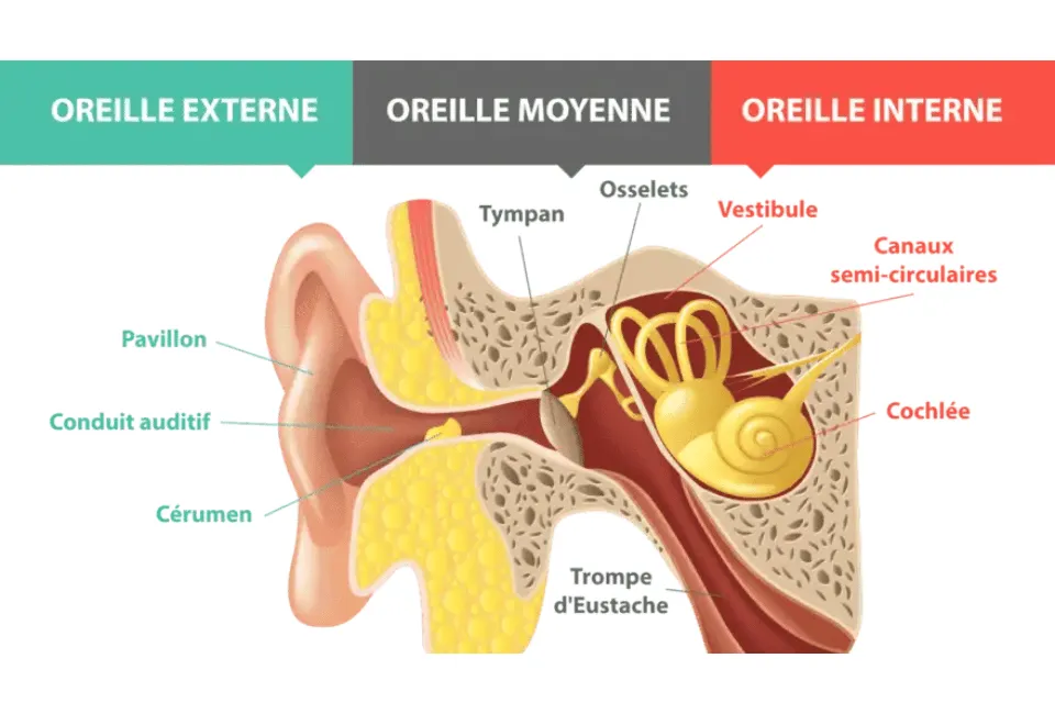 Innovative treatment for dizziness and vestibular sensitivity using laser phototherapy of the inner ear and training of the stapedius muscle