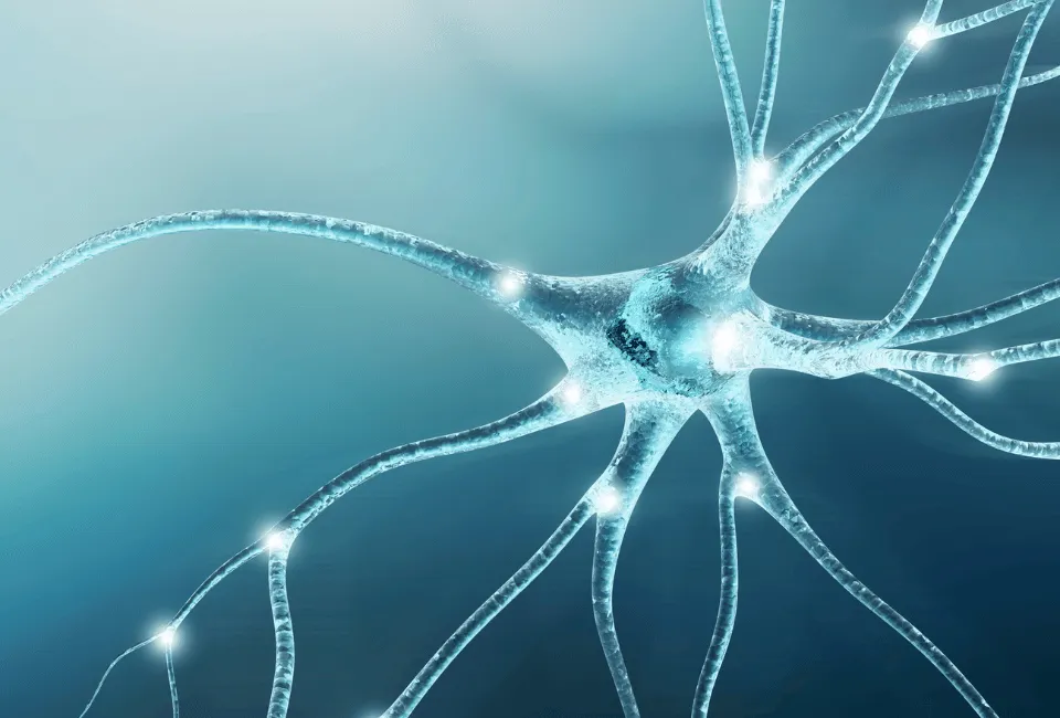 L'intégration sensorielle joue un rôle important au sein de notre traitement