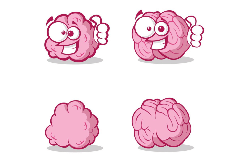 Un cerveau pop-corn ou tout rose ?